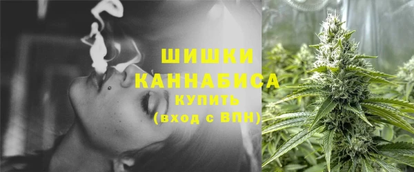 дживик Бронницы