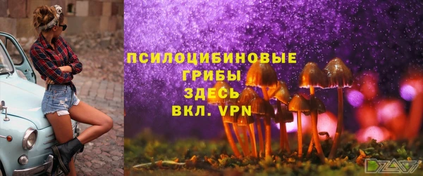 дживик Бронницы