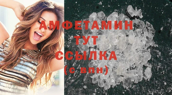 дживик Бронницы