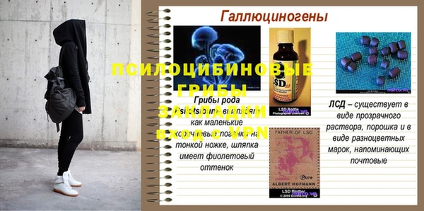 эйфоретик Бугульма