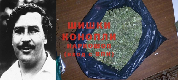 дживик Бронницы