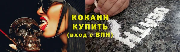 дживик Бронницы