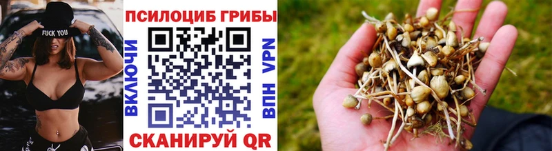 закладка  Красноярск  МЕГА ссылка  Галлюциногенные грибы GOLDEN TEACHER 