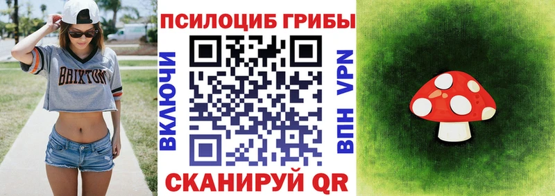 Галлюциногенные грибы GOLDEN TEACHER Красноярск